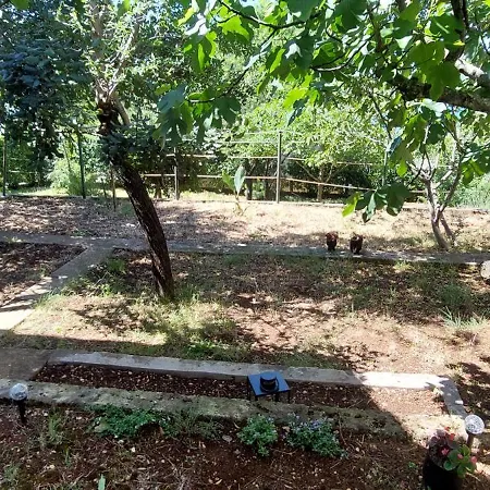 Blue Ll 30 Steps From The * Krusevo (Zadar)